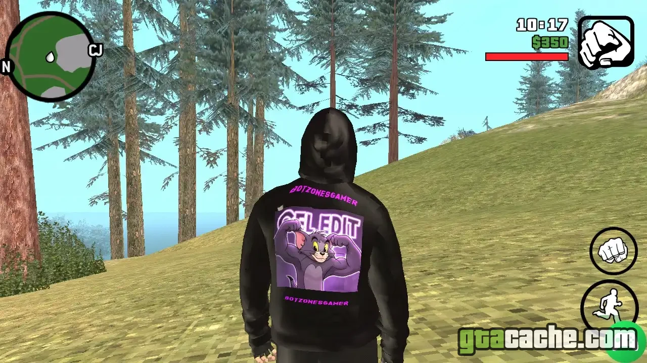 GTA San Andreas Skin Mods